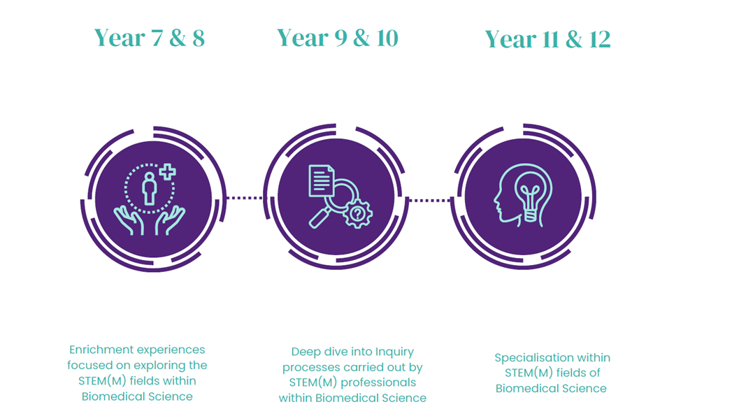 bespoke-pathways-in-stemm.png